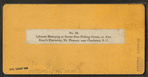 Laborers returning at sunset from picking cotton, on Alex. Knox's plantation, Mount Pleasant, near Charleston, S.C.