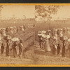 View of laborers returning from picking cotton at sunset, on Alex. Knox's plantation, Mount Pleasant, near Charleston, S.C.
