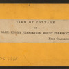 View of cottage, on Alex. Knox's plantation, Mount Pleasant, near Charleston, S.C.