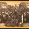 View in grounds at Longwood, St. Helene Island, S.C.