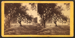 Hospital No. 5, formerly Female Academy, Beaufort, S.C.