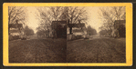 Saxtons Avenue, Beaufort, S.C.