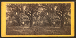 Walker plantation, Port Royal Island, S.C.