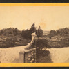 View in grounds at Longwood, St. Helene island, S.C.
