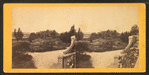 View in grounds at Longwood, St. Helene island, S.C.