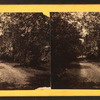 Myrtle Bush plantation, near Beaufort, S.C.