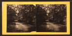 Myrtle Bush plantation, near Beaufort, S.C.