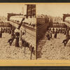 Cotton warehouse, drying cotton, Charleston, S.C.
