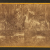 Magnolia Cemetery. Island Grove.