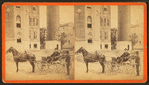 View of the engine house and stand pipe of the city of Charleston water works br., July 19th, 1880.