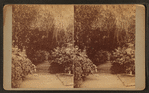 Gardens at Magnolia-on-the-Ashley.