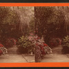 Magnolia gardens.