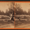 General view of Flower Gardens.