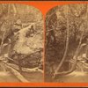 Slippery Rock Brook.
