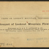 Bouquet of Lookout Mountain Flowers.