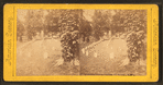 National Military Cemetery, Graves, Nashville, Tenn.