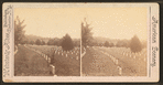 National Military Cemetery, Graves, Nashville, Tenn.