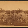National Military Cemetery, Graves, Nashville, Tenn.