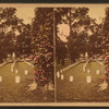 National Military Cemetery, Graves, Nashville, Tenn.