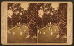National Military Cemetery, Graves, Nashville, Tenn.