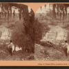 A Texas Eden, Landa's Park, New Braunfels, Texas.