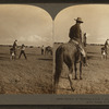 Method of Throwing a Cow - on the Palodoro Ranch, Palodura, Texas, U.S.A.