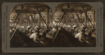 Carding Cotton, Dallas Cotton Mills, Dallas, Texas, U.S.A.