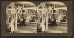 Saw mill for manufactoring boxes to used in crating oil in cans, Port Arthur, Texas, U.S.A..