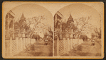 Galveston, Texas. [View of a residential street.]