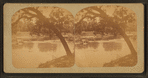 View of San Antonio River.