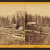 View of Cottonwood Canyon.