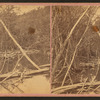Beaver dams of Bear River near its source.