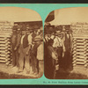 First bullion from Little Cottonwood Canyon. August 1870.