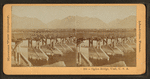 Ogden bridge, Utah, U.S.A.
