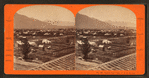 Ogden City Utah, C.P.R.R. [Central Pacific Railroad], Cal.