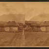 View of a log barn.