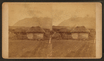 View of a log barn.