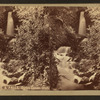 Cascade & falls, Ogden Canon, Utah.