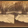 Interior of Mormon Tabernacle, Salt Lake City.