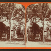 Old Curiosity Shop - 10th Ward, Salt Lake [City].