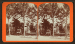 Old Curiosity Shop - 10th Ward, Salt Lake [City].