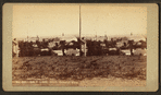 Salt Lake City, general view.