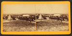 South from Arsenal.