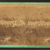 President B. Young's residence.