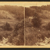 In gold miner's glen, Plymouth, Vt.