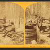Boiling sap.