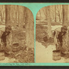 Maple sugar making. Gathering the sap, (old style).