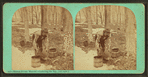 Maple sugar making. Gathering the sap, (old style).