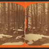 Maple sugar orchard.
