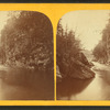 Cavendish Falls, the Black River, Cavendish, Vt. [Windsor Co.]